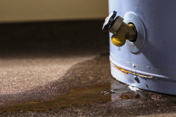 Best Ceiling water damage repair  in Port Jefferson, NY