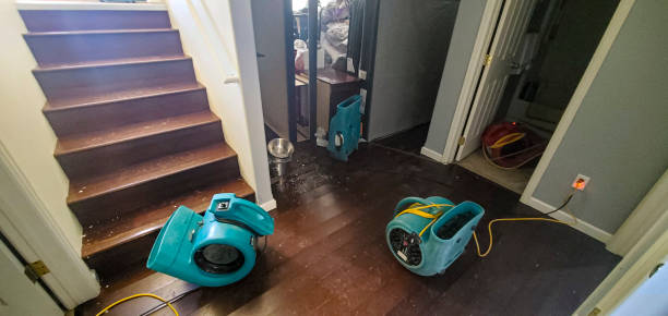  Port Jefferson, NY Water damage restoration Pros