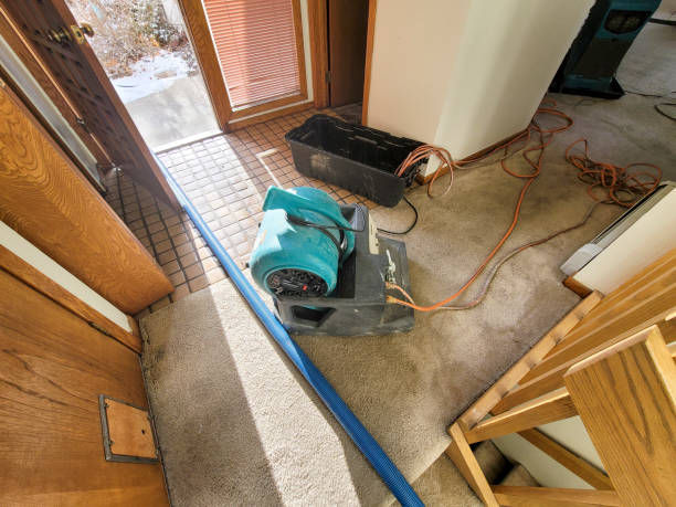 Best Basement water damage restoration  in Port Jefferson, NY