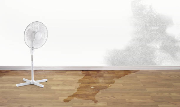 Best Sewage cleanup and water damage restoration  in Port Jefferson, NY