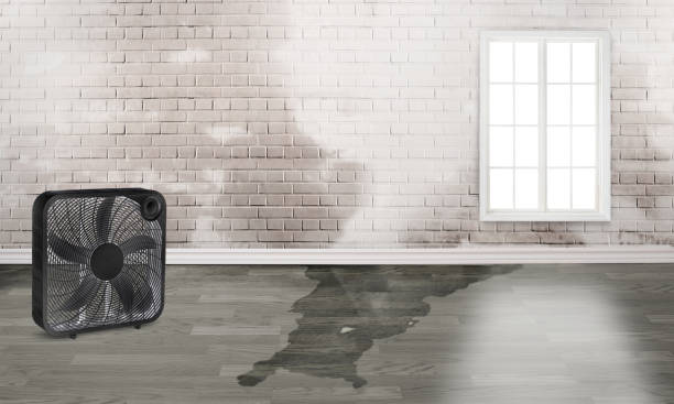 Best Residential water damage restoration  in Port Jefferson, NY