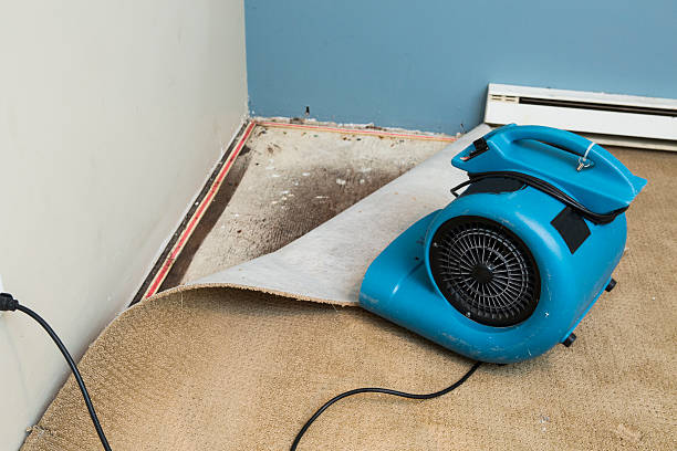 Best Water damage repair service  in Port Jefferson, NY